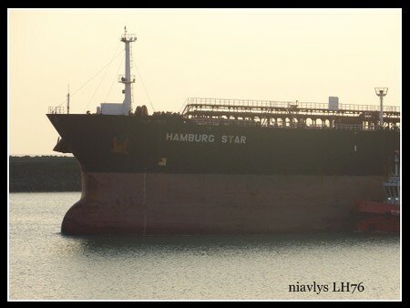 Hamburg_star_2