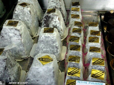 Fromage_Valencay