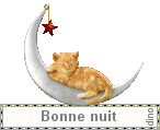 chat_bonne_nuit