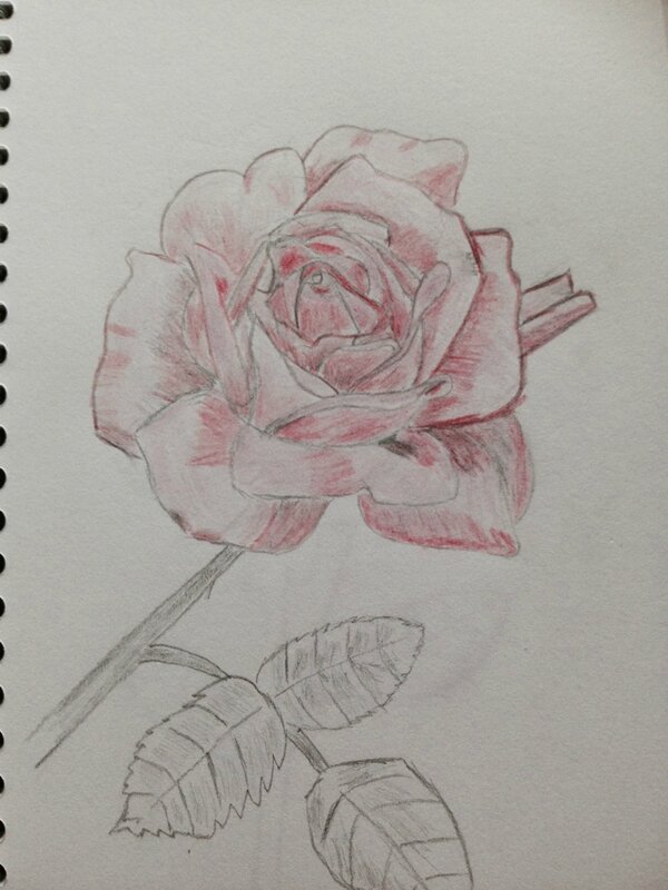 Rose 2 crayons