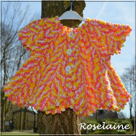 Roselaine109 gilet pétale