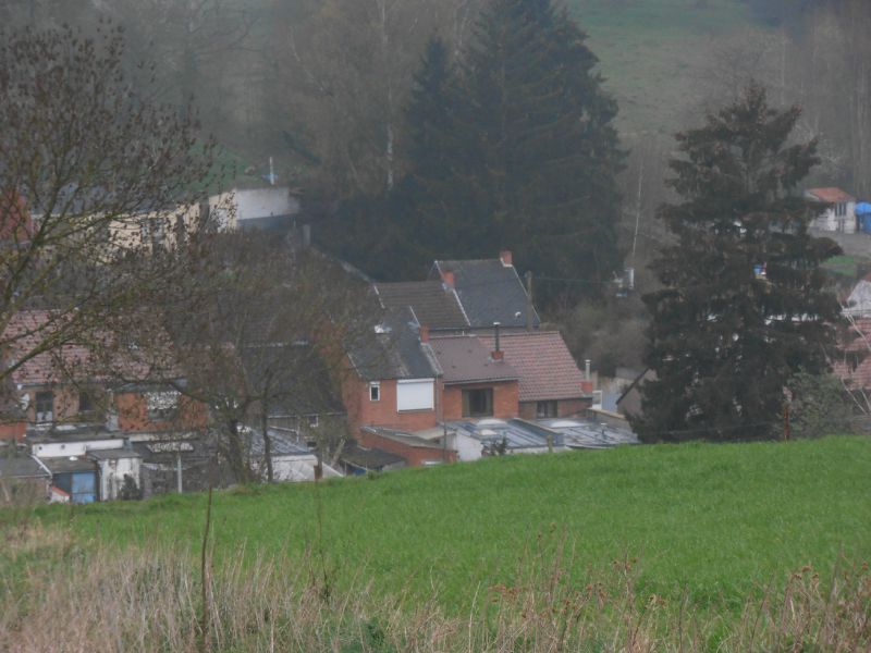 Petit-Wasmes - Paysage 4