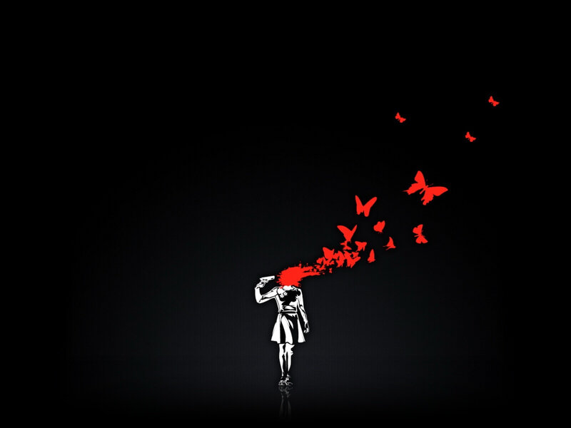 papillon-WallFizz