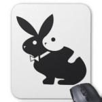 lapin_chaud_tapis_de_souris-r837f25f7872243809cb24b66a663f84c_x74vk_8byvr_324