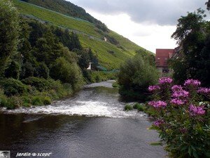 6728_Le_Rangen