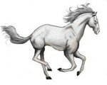 cheval_blanc_mini