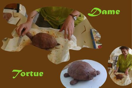 dame tortue