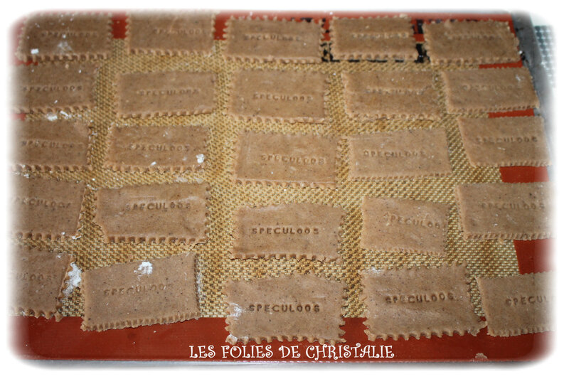 Spéculoos 6