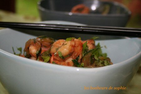 crevettes_sautees_courgette_concombre2
