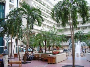 floride_avril_2007_572