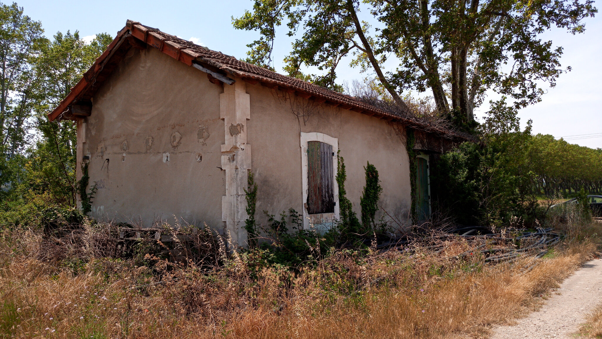 Les Agriottes (Bouches-du-Rhône - 13) 1