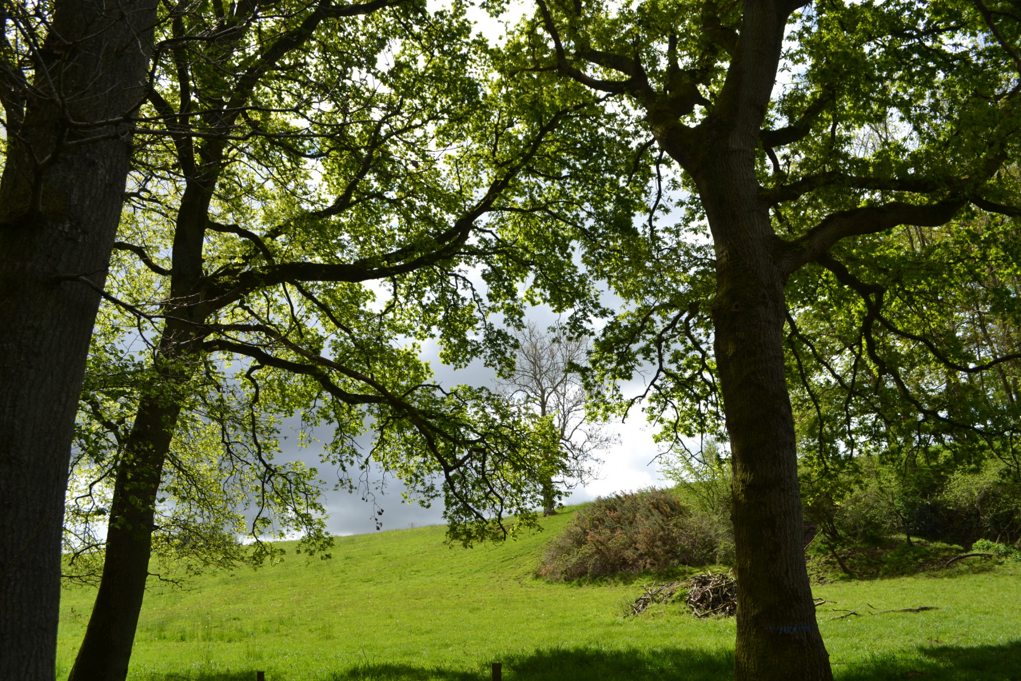 DSC_1505