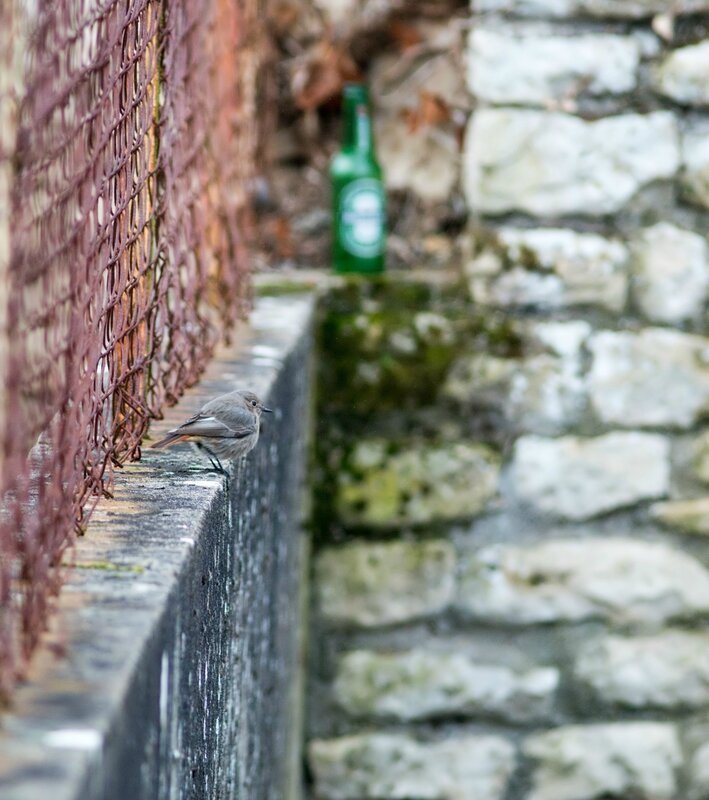 ville hiver rouge queue bouteille 040117
