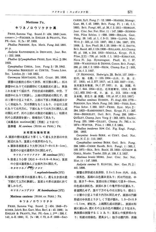 Mycological flora of Japan [1959] p 571