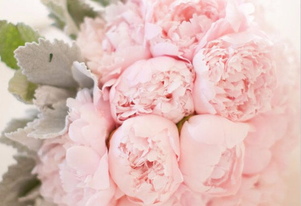 photos-de-bouquets-de-pivoines-roses