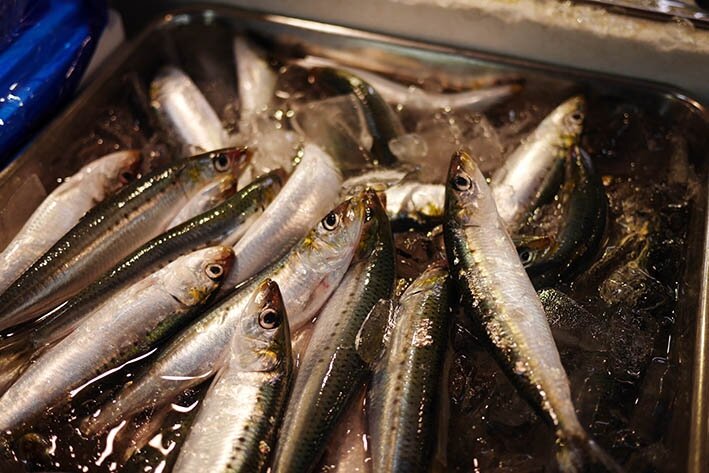 sardines