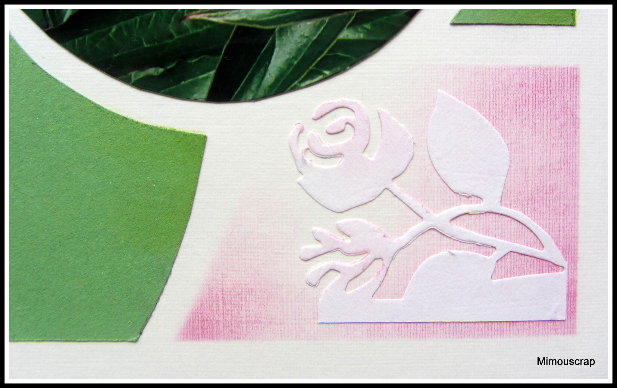 Jardin 2016 036