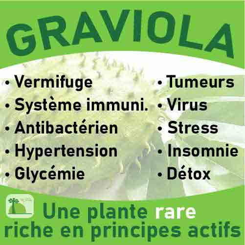 graviola-baomix-laboratoire-biologiquement-phytotherapie-traitement-therapeutique-plantes-medicinales