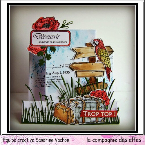 Carte TROP TOP dt LCDE (1)