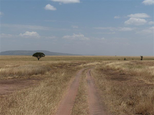 P1140592