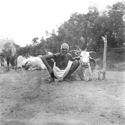 ramana-maharshi-lakshmi5