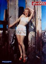 1947-02_03-Fox_publicity-sitting01-bikini_short-MM-010-1-mag-1952-follie-back_cover-italie-1