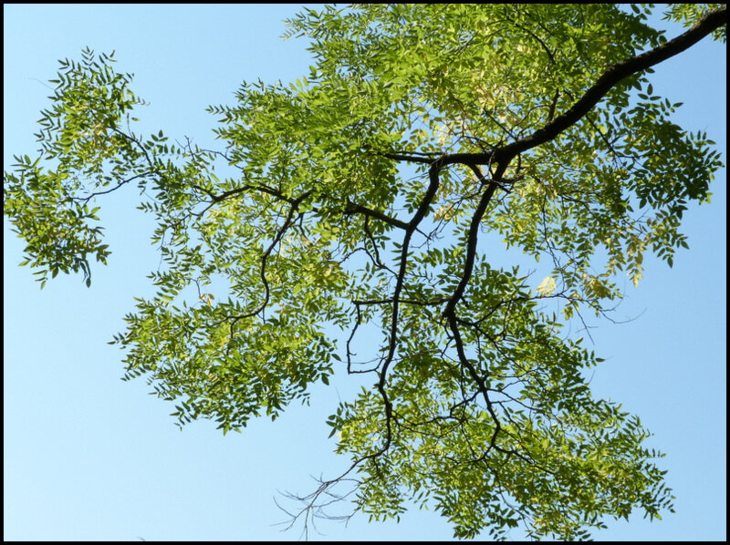 P1630675