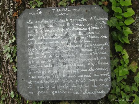 Ce tilleul
