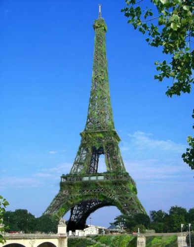 tour Eiffel végétalisation