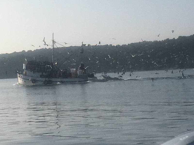 Peu après Pula, un senneur reconnaissable àses deux annexes, 27 octobre 2019 (1)