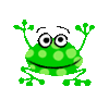 frog21