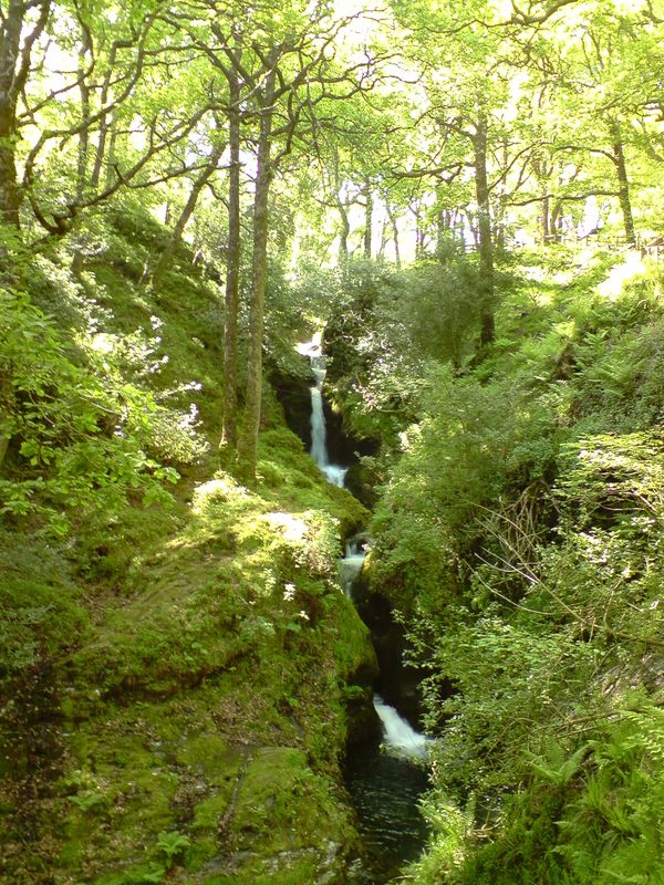 Waterfalls in the forest