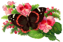 papillon aux fleurs