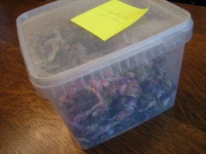 pot_pourri_004