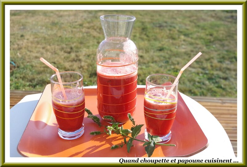 jus de pastèque et menthe fraiche-5188