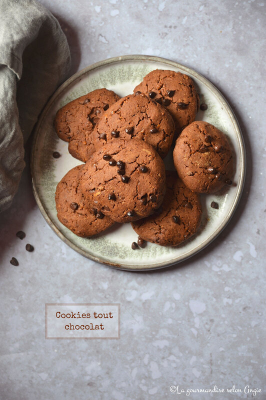 cookies vegan sans gluten chocolat (1)