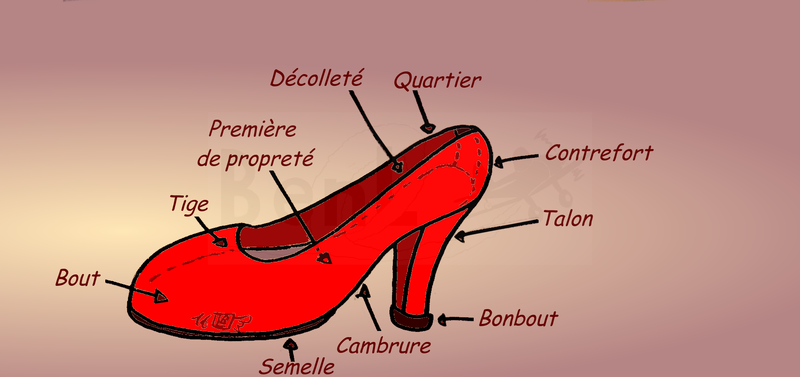Anatomie chaussure (1)