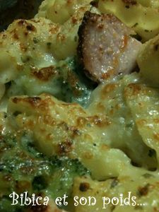 Gratin de pâtes au poulet et brocolis gros plan 1