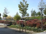 DSC01022