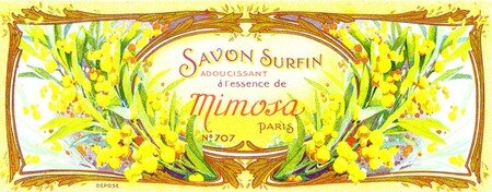 savon_mimosa