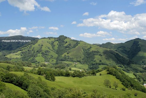 DSC_1131 Pays basque