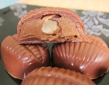 Chocolats fourrés au praliné Chocolats fourrés au praliné