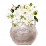 Flowers 8