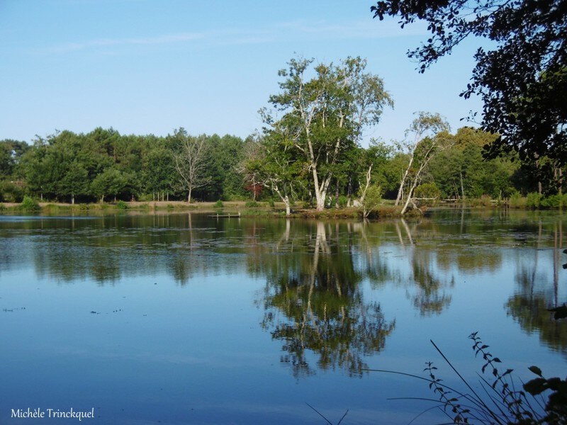 Etang de la Glacière 020918