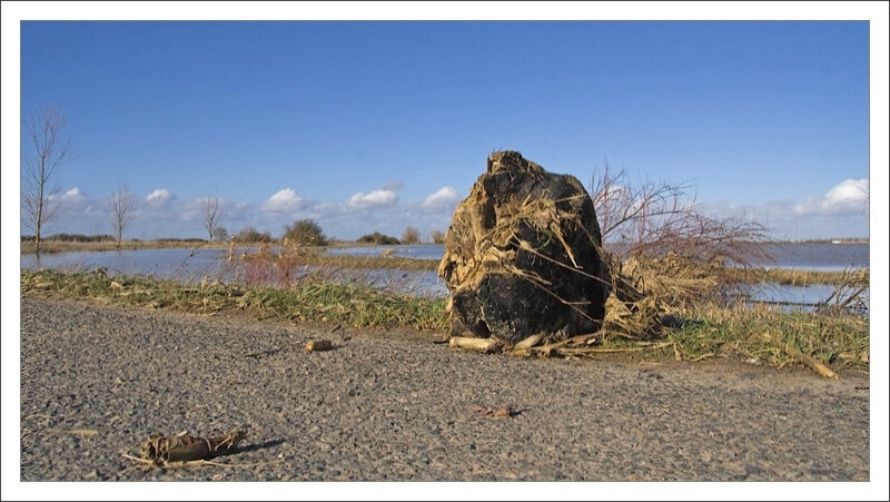 Aiguillon inondation souche 280210