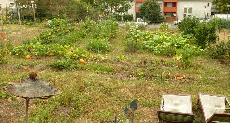 Potager 21-08-22