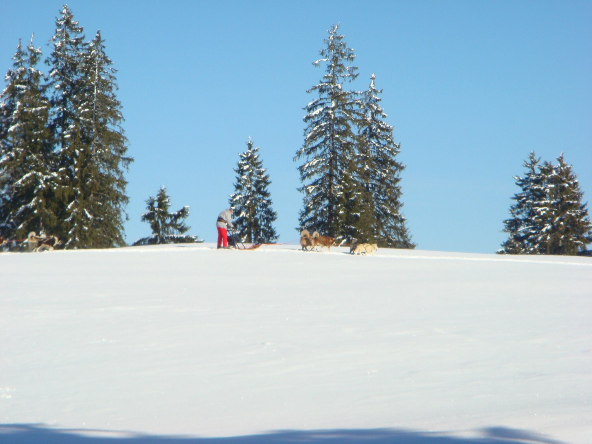 sortie ski CP février 2014 006