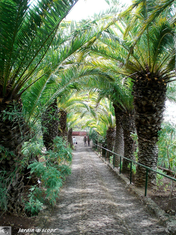 8705-Jardin-Botanique