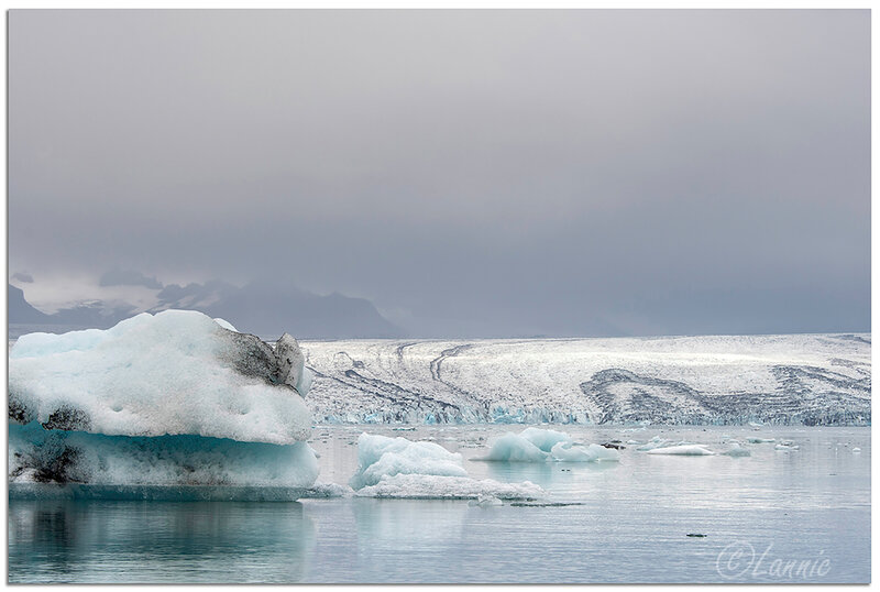 Islande (55) Jökulsárlón_2