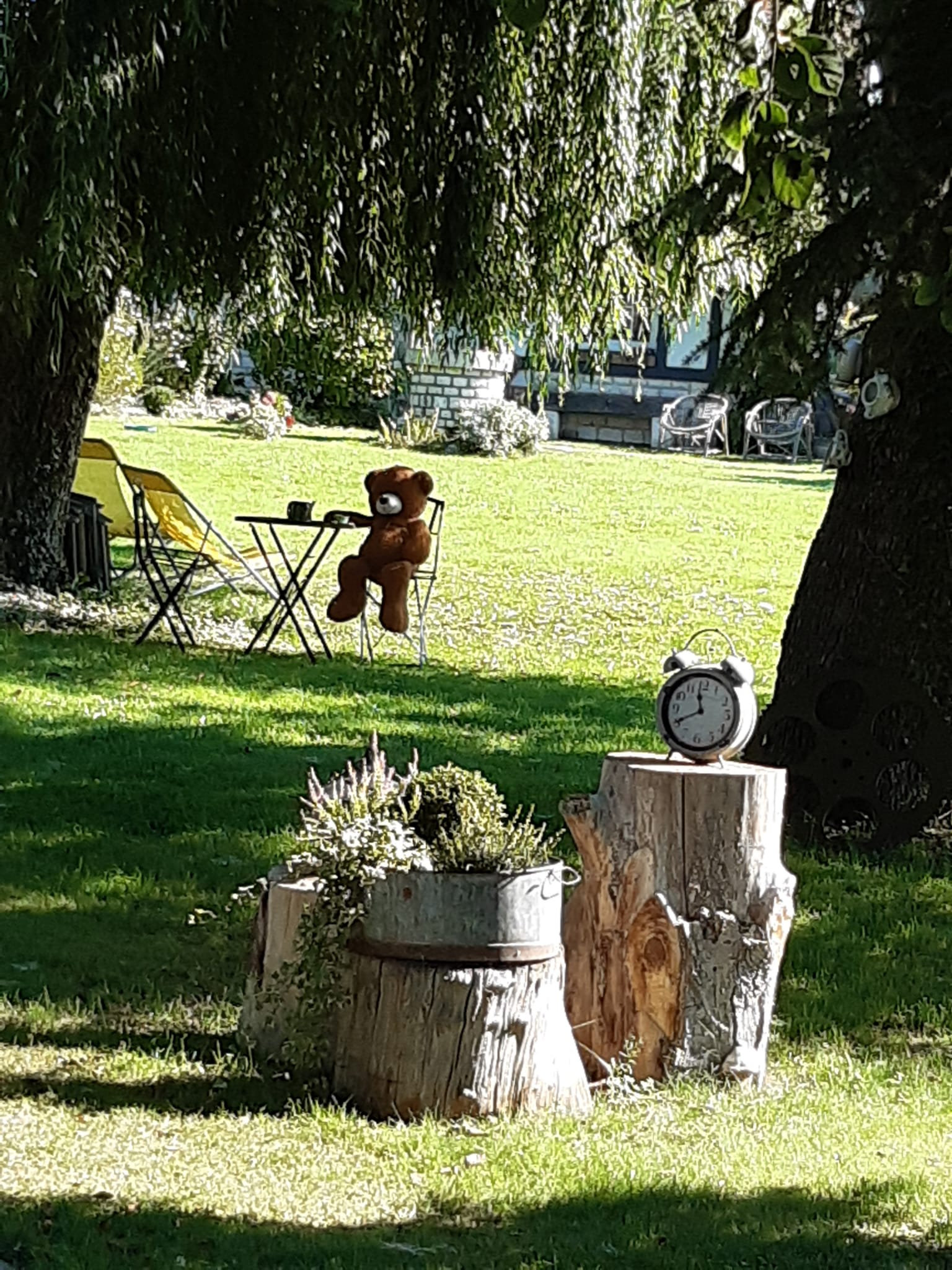 IMG-20230907-WA0001